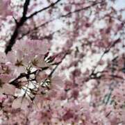 ヒメ日記 2025/03/30 21:13 投稿 りぜ スーパークリスタル