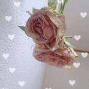 ヒメ日記 2025/08/07 22:23 投稿 りぜ スーパークリスタル