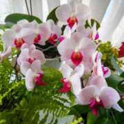 ヒメ日記 2025/02/09 13:20 投稿 つきの 奥鉄オクテツ神奈川店（デリヘル市場グループ）