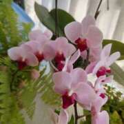 ヒメ日記 2025/02/21 14:00 投稿 つきの 奥鉄オクテツ神奈川店（デリヘル市場グループ）