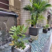 ヒメ日記 2025/03/01 11:00 投稿 つきの 奥鉄オクテツ神奈川店（デリヘル市場グループ）