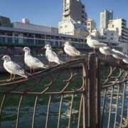 ヒメ日記 2025/03/07 09:00 投稿 つきの 奥鉄オクテツ神奈川店（デリヘル市場グループ）