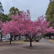 ヒメ日記 2025/03/16 11:30 投稿 つきの 奥鉄オクテツ神奈川店（デリヘル市場グループ）