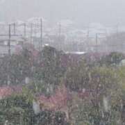 ヒメ日記 2025/03/19 07:20 投稿 つきの 奥鉄オクテツ神奈川店（デリヘル市場グループ）