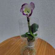 ヒメ日記 2025/03/28 06:20 投稿 つきの 奥鉄オクテツ神奈川店（デリヘル市場グループ）