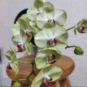 ヒメ日記 2025/05/18 10:00 投稿 つきの 奥鉄オクテツ神奈川店（デリヘル市場グループ）