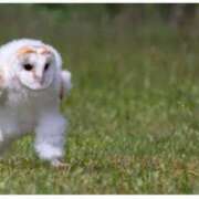 ヒメ日記 2025/04/29 11:28 投稿 石井 西川口デッドボール