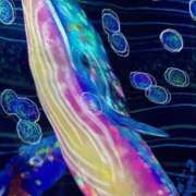 ヒメ日記 2025/09/20 01:58 投稿 石井 西川口デッドボール