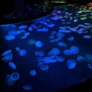 ヒメ日記 2025/12/01 18:58 投稿 石井 西川口デッドボール