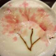 ヒメ日記 2026/03/10 13:12 投稿 石井 西川口デッドボール