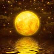 ヒメ日記 2026/03/13 13:03 投稿 石井 西川口デッドボール