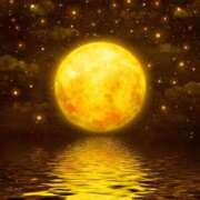 ヒメ日記 2026/03/19 20:16 投稿 石井 西川口デッドボール