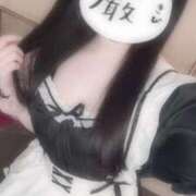 ヒメ日記 2025/04/29 13:15 投稿 はるか ロイヤル土佐