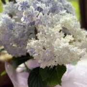 ヒメ日記 2025/05/20 16:45 投稿 はるか ロイヤル土佐