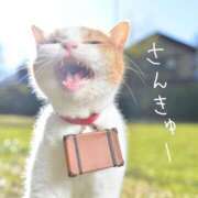 ヒメ日記 2025/05/23 16:56 投稿 はるか ロイヤル土佐