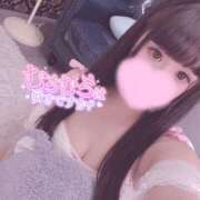 ヒメ日記 2025/11/12 14:43 投稿 はるか ロイヤル土佐