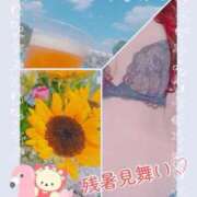 若宮(わかみや) 残暑見舞い♡ 人妻出逢い会 百合の園 品川店