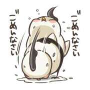 ヒメ日記 2026/02/15 09:19 投稿 結川 りこ SUMIRE