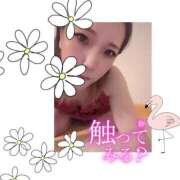 ヒメ日記 2024/12/21 17:11 投稿 みちよ 快楽夫人