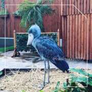 ヒメ日記 2024/12/14 12:17 投稿 ひじり 淫乱痴女エステ新宿店