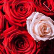 ヒメ日記 2025/01/08 01:06 投稿 ひじり 淫乱痴女エステ新宿店