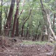 ヒメ日記 2026/09/29 07:02 投稿 ひじり 淫乱痴女エステ新宿店