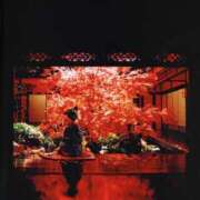 ヒメ日記 2025/11/14 23:00 投稿 なな 奥鉄オクテツ東京店（デリヘル市場）