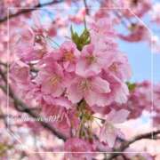 ヒメ日記 2025/03/12 12:26 投稿 ひじり 淫乱痴女エステ