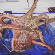 ヒメ日記 2025/09/18 07:21 投稿 ひじり 淫乱痴女エステ