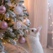 ヒメ日記 2024/12/25 22:44 投稿 ゆい 美熟女倶楽部Hip's 春日部店