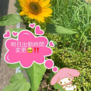 ヒメ日記 2025/06/30 15:04 投稿 ゆい 美熟女倶楽部Hip's 春日部店