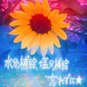 ヒメ日記 2025/08/15 15:14 投稿 ゆい 美熟女倶楽部Hip's 春日部店