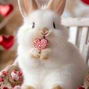 ヒメ日記 2025/11/12 11:12 投稿 ゆい 美熟女倶楽部Hip's 春日部店