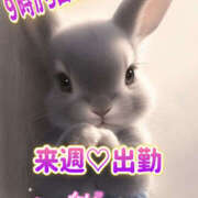 ヒメ日記 2025/11/18 14:22 投稿 ゆい 美熟女倶楽部Hip's 春日部店