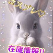 ヒメ日記 2025/11/20 13:22 投稿 ゆい 美熟女倶楽部Hip's 春日部店