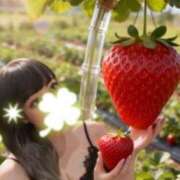 ヒメ日記 2026/01/31 10:52 投稿 ゆい 美熟女倶楽部Hip's 春日部店