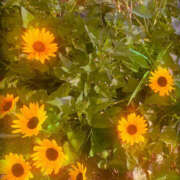 ヒメ日記 2026/03/26 12:03 投稿 ゆい 美熟女倶楽部Hip's 春日部店