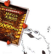 ヒメ日記 2026/04/05 10:52 投稿 ゆい 美熟女倶楽部Hip's 春日部店