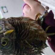 ヒメ日記 2025/01/23 02:49 投稿 鯨魚うみ 手コキ研修塾