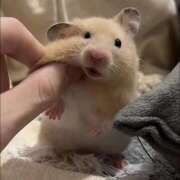 ヒメ日記 2025/06/11 15:04 投稿 じゅり 夜這い茶屋 はなれ