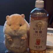 ヒメ日記 2025/11/04 19:43 投稿 じゅり 夜這い茶屋 はなれ