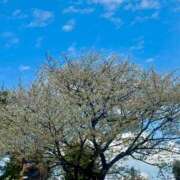 ヒメ日記 2026/03/27 12:59 投稿 じゅり 夜這い茶屋 はなれ