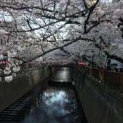 じゅり 4/2🩷 夜這い茶屋 はなれ