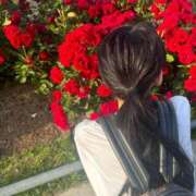 ヒメ日記 2025/07/07 12:32 投稿 かえで ドM女学園大阪