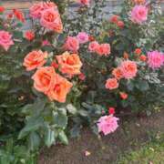 ヒメ日記 2025/07/28 11:16 投稿 かえで ドM女学園大阪