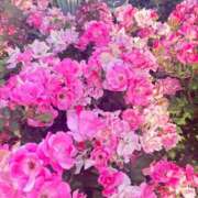 ヒメ日記 2025/07/30 13:30 投稿 かえで ドM女学園大阪