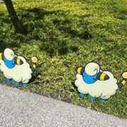 ヒメ日記 2025/08/01 23:15 投稿 かえで ドM女学園大阪