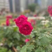 ヒメ日記 2025/08/03 22:33 投稿 かえで ドM女学園大阪