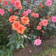 ヒメ日記 2025/08/09 20:30 投稿 かえで ドM女学園大阪