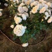 ヒメ日記 2025/08/12 15:31 投稿 かえで ドM女学園大阪